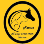 All Dogs Come From Heaven Rescue